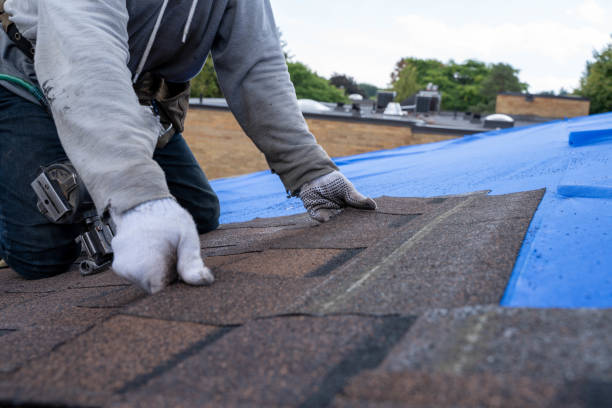 Best Tile Roofing Contractor  in Belvedere Park, GA
